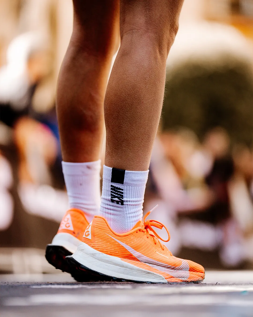 Salomon Ultra Pirineu — 4